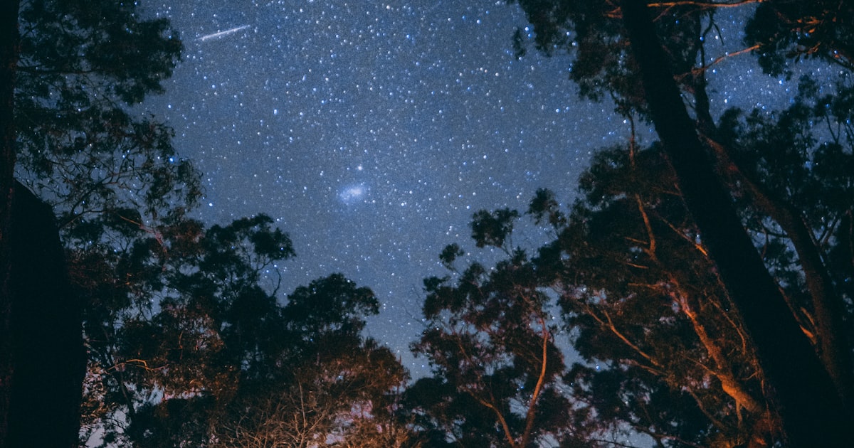 수련회·캠프·수학여행 안내장 필수 섹션 10가지 — 학부모 문의 90% 줄이는 체크리스트